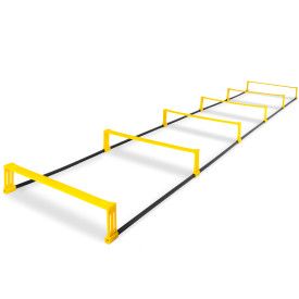 Raised Agility Ladder, 6 rungs